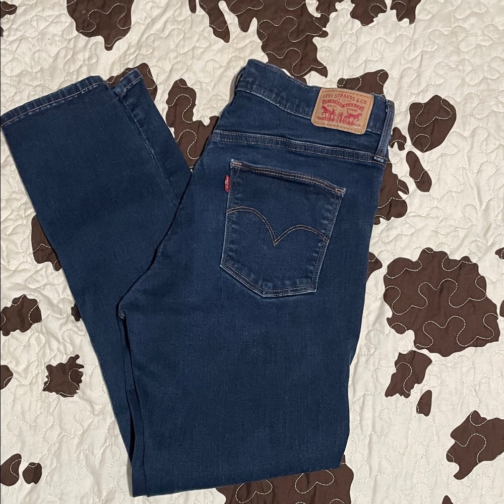 Levi's Indigo Blue Jeans